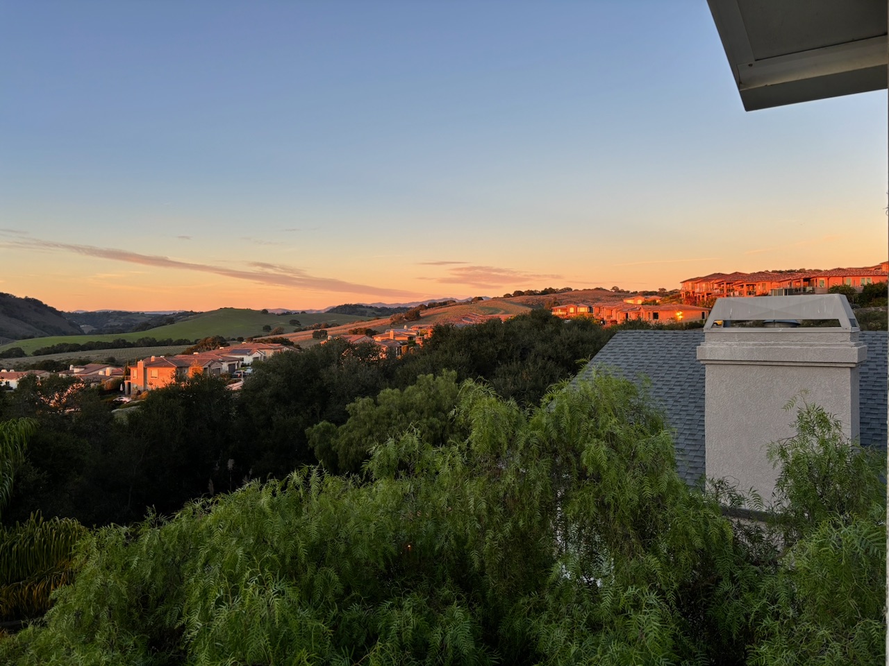 Golden-hour light on rolling green hills and red-roofed houses, seen over a row of trees
